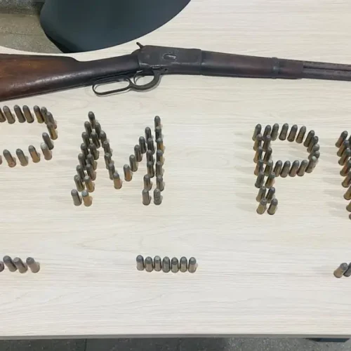 Arma e 150 munições são apreendidas em ação da polícia na zona rural de Taperoá