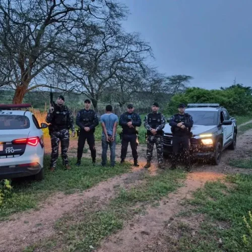 Guarda Municipal e Polícia Militar desarticulam ação de furto de fios na zona rural de Soledade