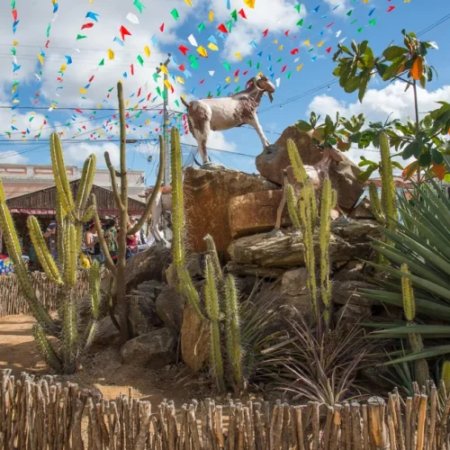 Festa do Bode Rei 2026: evento começa nesta quinta em Cabaceiras; veja programação