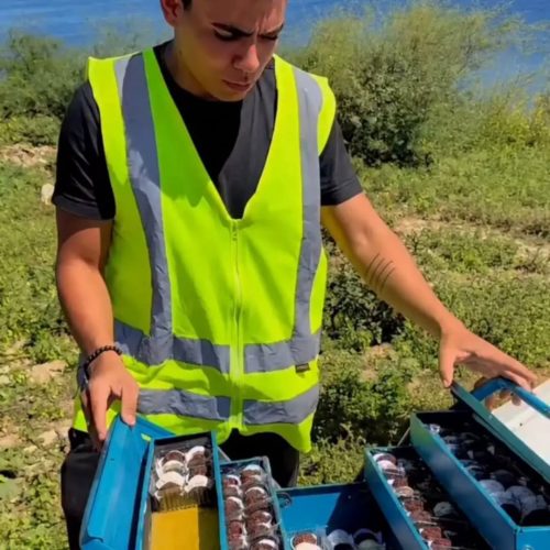 Jovem influenciador caririzeiro que viralizou vendendo doces morre após acidente na BR-412