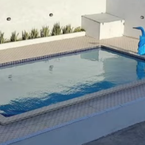 Criança de cinco anos morre afogada durante festa em piscina, na Paraíba