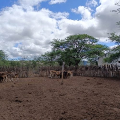 Incra cria assentamento para 22 famílias no município de Taperoá, no Cariri paraibano