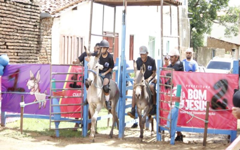 Governo oficializa ‘Corrida de Jegues’ como patrimônio cultural da Paraíba