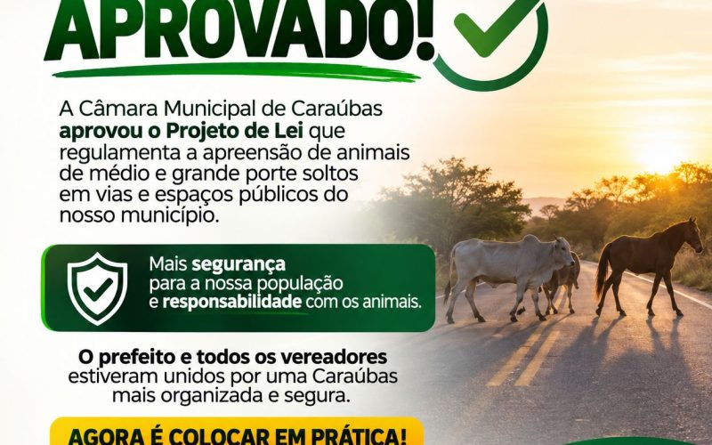 Caraúbas avança no controle de animais soltos em vias públicas após aprovação de projeto de lei