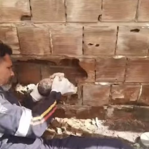 Recém-nascido é encontrado abandonado entre duas residências no Litoral Sul da Paraíba