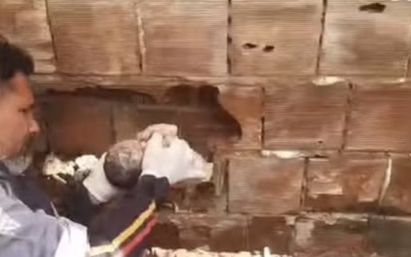 Recém-nascido é encontrado abandonado entre duas residências no Litoral Sul da Paraíba