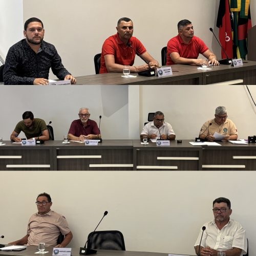Debates, cobranças e aprovação da LDO marcam a 9ª sessão ordinária da Câmara de São Domingos do Cariri
