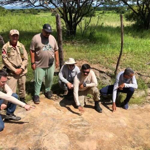 Pesquisa aponta descoberta da maior pegada de dinossauro do Brasil em Sousa, na Paraíba