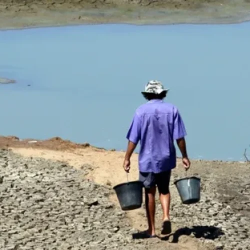 Paraíba lidera ranking nacional de desastres pela seca e soma prejuízo de R$ 65 bilhões, diz CNM