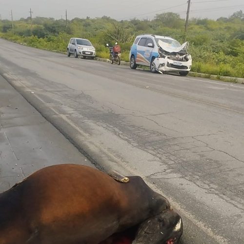 Veículo da Saúde de Serra Branca se envolve em acidente após animal solto na pista