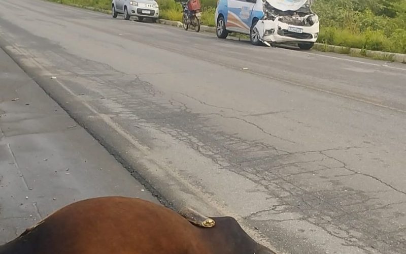 Veículo da Saúde de Serra Branca se envolve em acidente após animal solto na pista