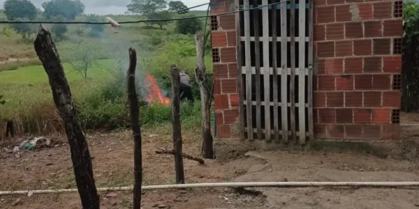 Homem é indiciado suspeito de espancar cachorro e jogar animal em fogueira, em Queimadas