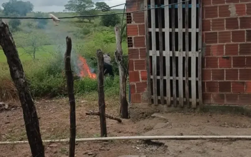 Homem é indiciado suspeito de espancar cachorro e jogar animal em fogueira, em Queimadas