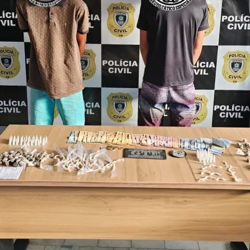 Polícia Civil desarticula tráfico e apreende drogas em Soledade 