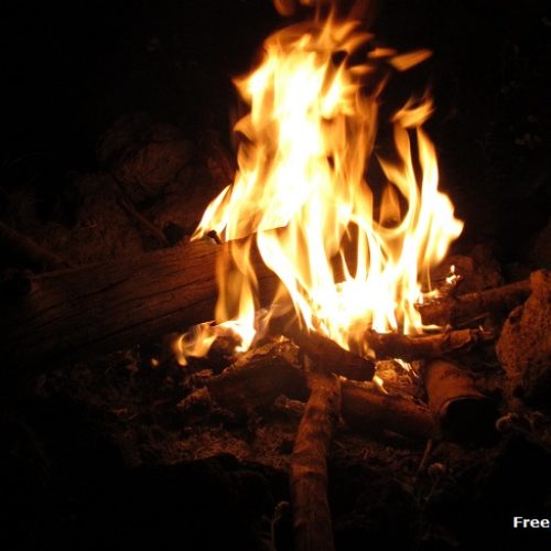 A vertical shot of burning wood in a campfire at night