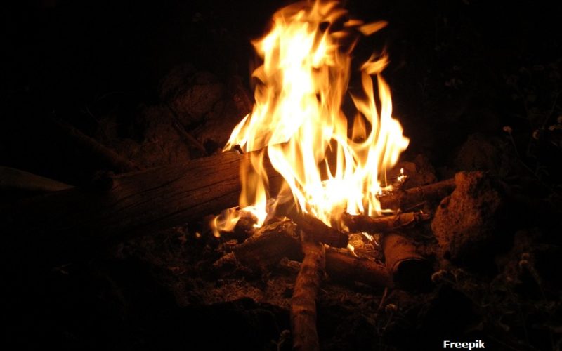 A vertical shot of burning wood in a campfire at night