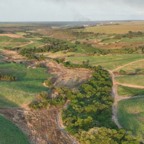 Operação autua mais de 230 hectares de desmatamento ilegal na Paraíba