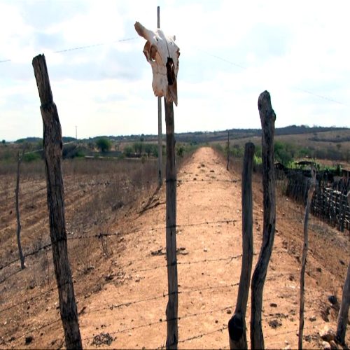 Paraíba inicia 2026 com chuvas abaixo do esperado, diz Inmet