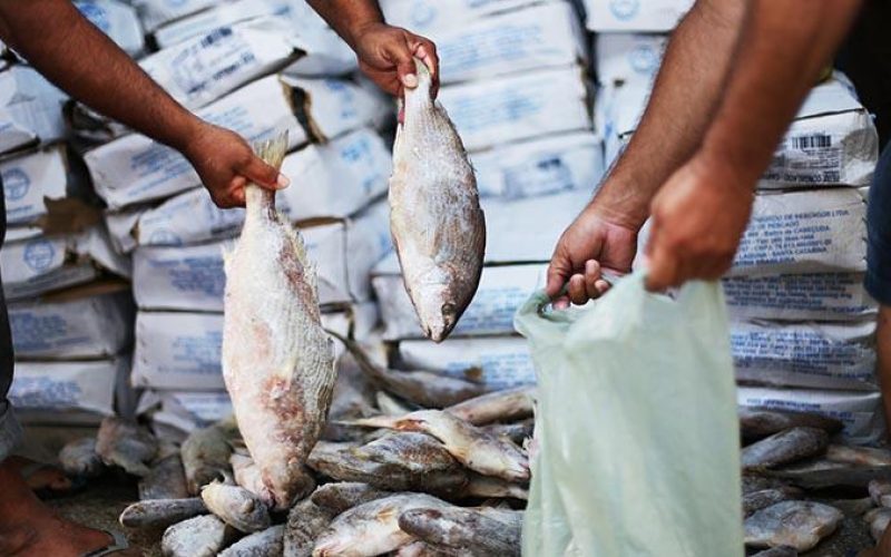 Prefeitura de Congo distribui mais de 3 toneladas de peixe para beneficiários do Bolsa Família